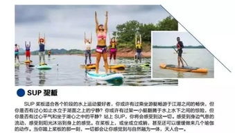 崭新领域探索与未知事物挑战：浑浊水面的独木舟