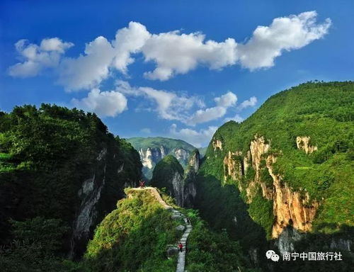 第一跳：别信“网上通票”，  景区门口的“隐藏菜单”更香