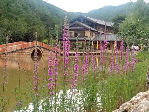 怎么去才不会被累死？交通全攻略大公开！