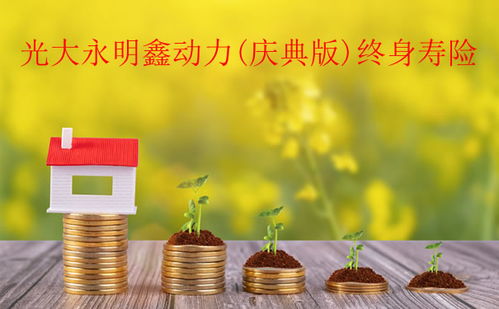 恒大紫微星定期寿险的购买好处有哪些？