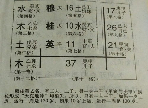 为哪些要特别沉重视马年杨姓宝宝的起名？