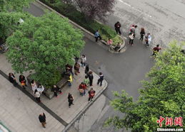 二、  生肖属性在灾害应对中的理论模型与行为分析