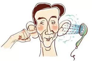 1.1 软耳特征的具体描述