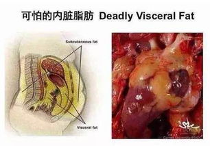 六、 中西医结合视角下的疾病鉴别与治疗要点