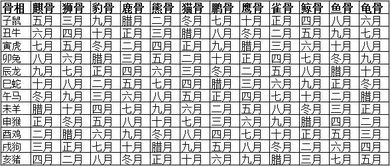 三、 综合评析：四大决定性贵相特征概览