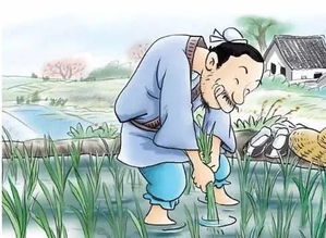 神秘女子的指引与救赎