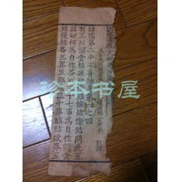 《毗婆沙論》中的五缘「見」体系