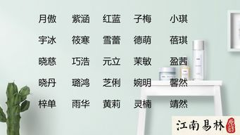 苏轼的诗中可依提取哪些名字作为女宝宝的名字呢？