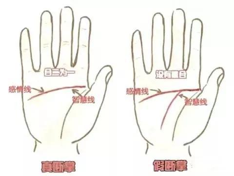 右手断掌：事业辉煌背后的隐忧