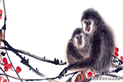 生肖猴的性格外化：开朗性格与生活期待的展现