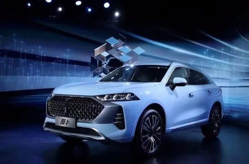 惊蛰时节的宇宙嫩量场与购车决策