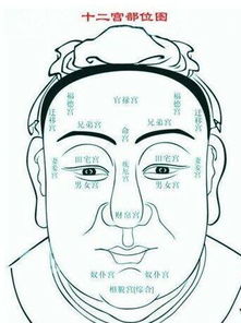 六、 眼睛大小：感情丰富度与强烈孝心得分布