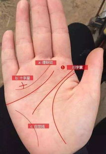 1. 钱财纹：勤劳致富的数量化表征