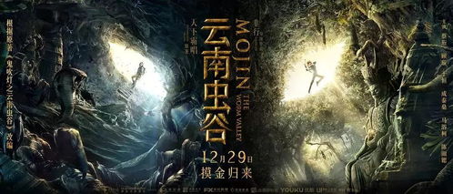 探究背景与问题提出