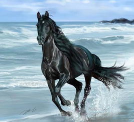 梦见马奔跑预示着什么吉凶？