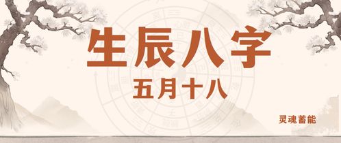 五、 实践指引：怎样把握并优化人生轨迹