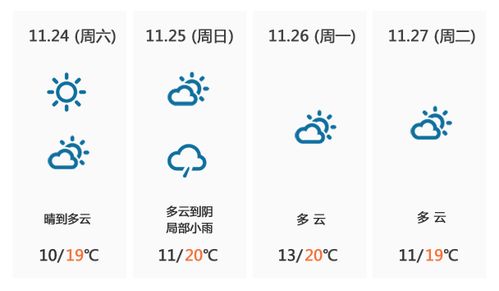 更详细的数据记录及其社会意义分析（见第九至十一条）