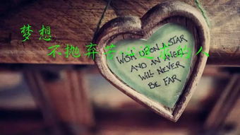 二、  生肖与星座：命理视角下的自我认知与性格重塑