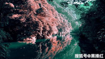 5.铜铃山——名字霸气实际空虚