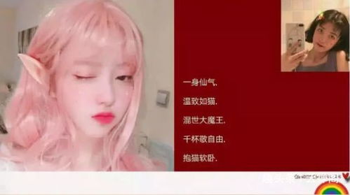 研究方法与理论基础