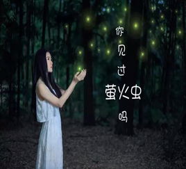 (三)