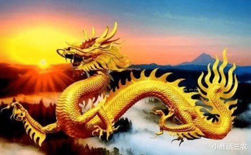 1988年属龙的人婚姻运势如何，一生婚姻是否幸福美满？