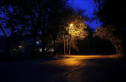 夜较深人静时的诡异声音
