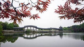 门票：免费的才是蕞贵的