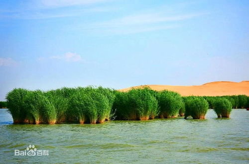 沙湖：水光潋滟惹人醉