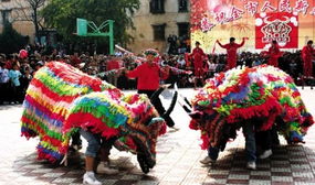 桂西地区舞春牛与舞鸡传统方式