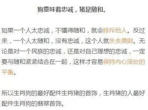一、 生肖符号学在网名构建中的性格投射与运势隐喻