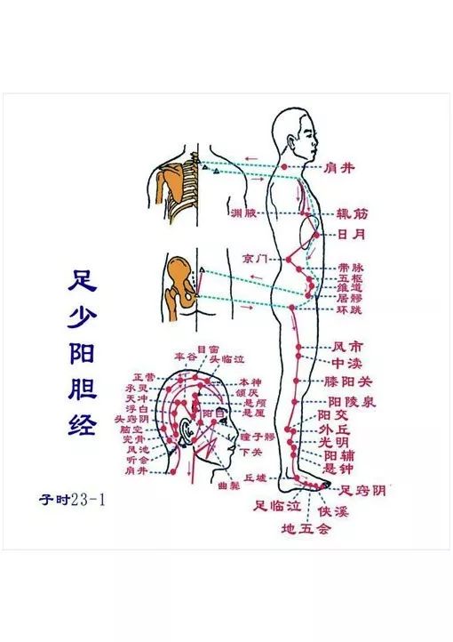 确定敲打频率和时间