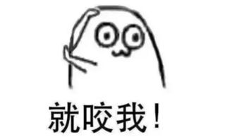 一、 基于十二生肖之趣味网名的系统化呈现