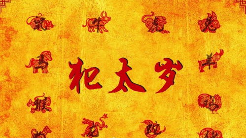 2. 社会交互与职场执行的顺畅度提升
