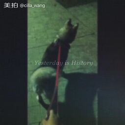 孩子心理状态与外界作用于