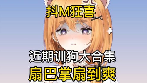 bilibili视频网站崩溃给我的启示