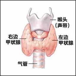 家里风水与咽炎症状之间是否存在关联？
