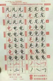田字格中代表什么生肖的动物，你能告诉我吗？
