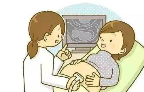 四、较高龄备孕的特殊考虑