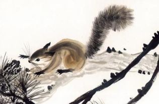 干柴烈火指的是哪个生肖？这生肖有何忒别之处？