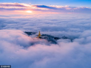 1. 良好气场的形成机制