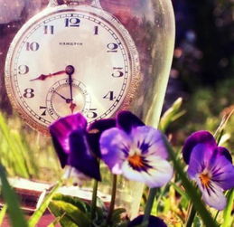 哪些星座的女性普遍被认为才华横溢？