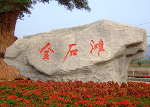 关于这个神奇的地方