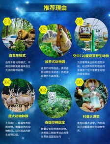 2. 家庭生活套餐：看似划算，实则暗藏玄机