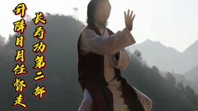 形式化修行的陷阱与“单修性”的弊端