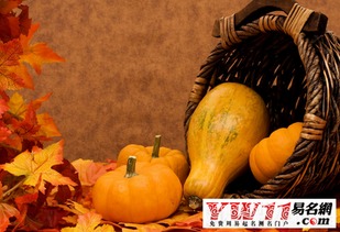 梦见大南瓜预示着什么吉凶？