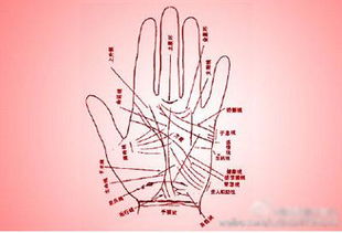 在深圳街头，如何找到靠谱的手相大师？