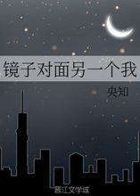 1.2 镜面被视作“无底黑洞”的风水阐述