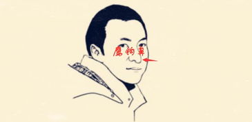 鼻相特征与人格剖析