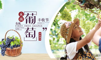 团购优惠？呵呵，套路大全！